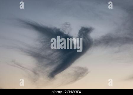 Dark cloud in shape of a pigeon in the evening sky Stock Photo