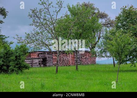 Holzstoss in einem Garten Stock Photo