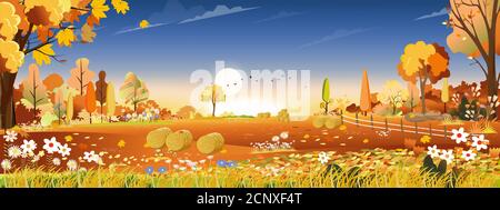 Vector Autumn landscape at harvest farm field with orange and blue sky,Beautiful sunset in mid Autumn in countryside,Panorama view with yellow and ora Stock Vector