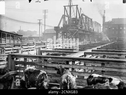 View of the elevated railway track near animal pens at the stockyards in the New City community area of Chicago, Illinois, 1907. Stock Photo