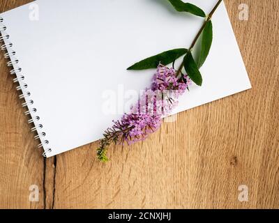 one field flower is lying on a wooden table next to a notebook an empty mockup. Blank notebook with white flower and bas ket of flower on vintage Stock Photo