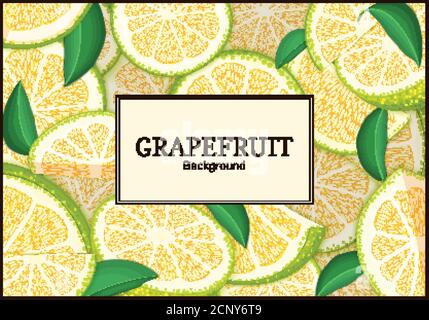 Rectangular label on citrus grapefruit background. Vector card illustration. Stock Vector