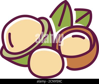 Macadamia color line icon. Nuts in the shell and with leaves. Pictogram for web page, mobile app, promo. UI UX GUI design element. Editable stroke. Stock Vector