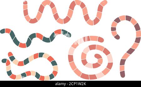 Set of cute hand drawn cartoon worms in different poses isolated on white background vector illustration Stock Vector