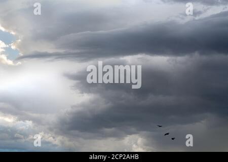 Moisture-filled cumulus clouds float in the sky over the American Southwest. Stock Photo