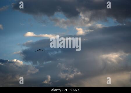 Moisture-filled cumulus clouds float in the sky over the American Southwest. Stock Photo