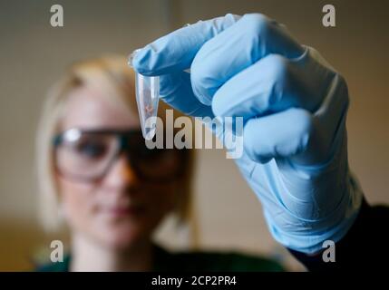 alamy