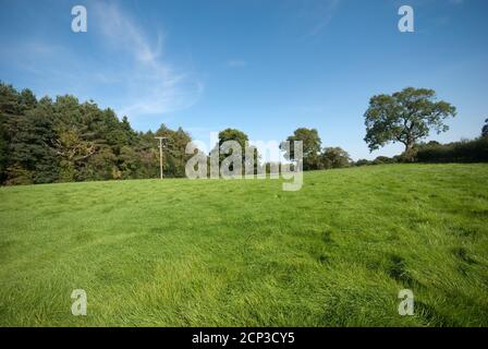 Prestbury farmland adjacent to Chelford Road Stock Photo