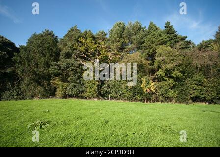 Prestbury farmland adjacent to Chelford Road Stock Photo