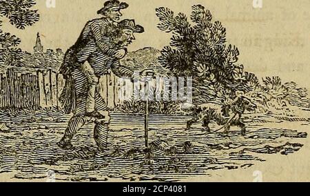 . History of British birds : the figures engraved on wood . Stock Photo