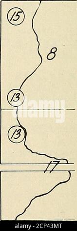 . Report of the State highway commission on the Iowa lakes and lake beds . ® /? @ ® /&lt;?. Fig. 57—Map showing location of fields examined in 1915 in the vicinity of Goose Lake, Greene County. INVESTIGATION OF CROP IXJl liY 147 SCHEDULE 12. Showing Approximate Percentage of Damaged Ears on All Farms VisitedTwo Miles or Over From a Lake. Approx. Percentage Farm No. Distance from Lake Damaged Ears in Field 21 yA miles from Trumbull 0.0 . 22 5 miles from Trumbull 0.0 24 2 miles from Mud 3.0 7 3 miles from Trumbull 8.0 *8 2 miles from Trumbull 18.0 13 1 mile from Trumbull 0.0 16 Va mile from Trum Stock Photo