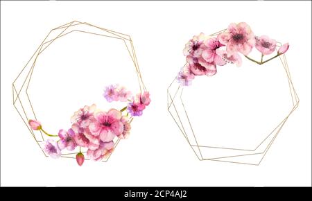 Cherry blossom, Sakura branch with pink flowers on gold frame and isolated on white background. Image of spring. 2 frames with watercolor flowers Stock Vector