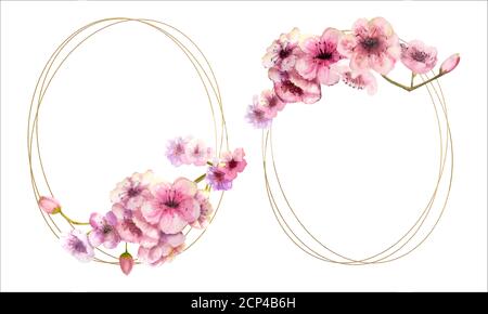 Cherry blossom, Sakura branch with pink flowers on gold frame and isolated on white background. Image of spring. 2 frames with watercolor flowers Stock Vector