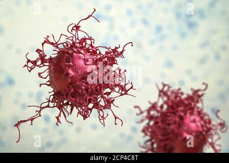 Cervical cancer cells, computer illustration. Stock Photo