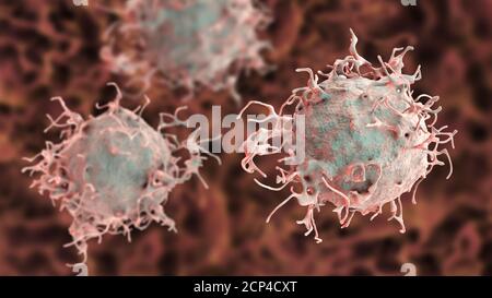 Skin cancer cell, computer illustration. Stock Photo