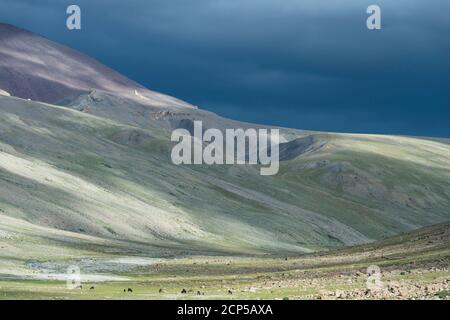 Landscape on the Markha Valley Trek, Nemaling Stock Photo