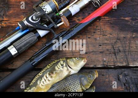 https://l450v.alamy.com/450v/2cp713f/fishing-rods-and-spinning-with-coils-on-a-wet-wooden-background-with-three-fish-in-a-row-2cp713f.jpg