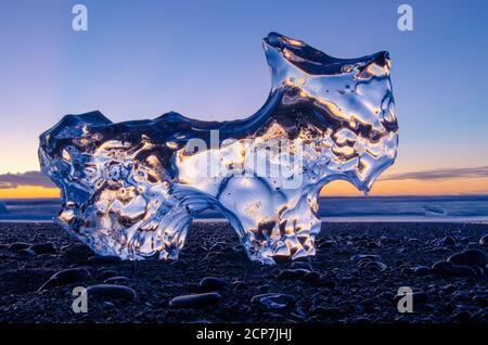 Iceberg shaped like dog on rocky sandy beach Stock Photo