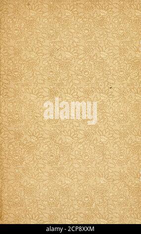 . New England bird life: being a manual of New England ornithology; . SMITHSONIAN INSTITUTION LIBRARIES 3 9088 00074 3104 Stock Photo