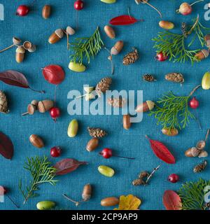 Blue bright autumn background of berries, small wild apples, acorns and leaves on linen textile background. Pattern of natural elements Stock Photo