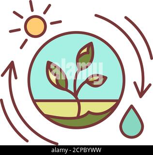 Competent photosynthesis color line icon. The process by which green plants and certain other organisms transform light energy into chemical energy Stock Vector