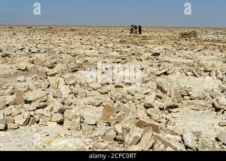 Broken out raw salt blocks for further processing on the Assale salt lake, traditional mining of salt near Hamadela, Danakil Depression, Afar region, Stock Photo