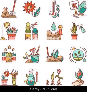 Plant care color line icons set. Complex of care procedures for plant rotation. Pictogram for web page, mobile app, promo. UI UX GUI design element Stock Vector
