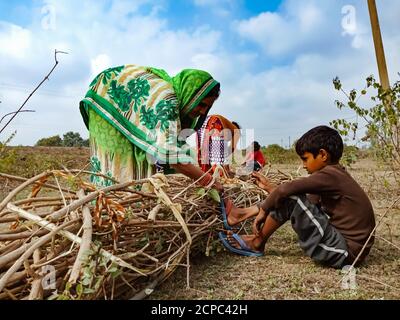 DISTRICT KATNI, INDIA - JANUARY 01, 2020: An indian village woman with his child binding wooden fire sticks on forest area at blue sky background. Stock Photo