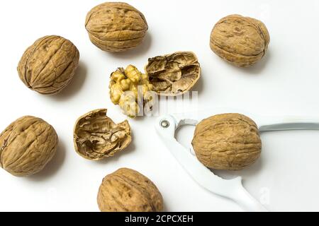 Close up of Walnut And Nutcracker. Freshly cracked walnut in nutcracker on white background Stock Photo