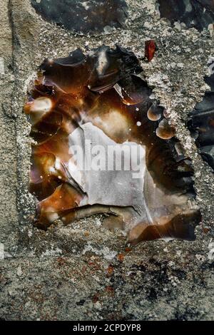 close up up of old flint wall Stock Photo