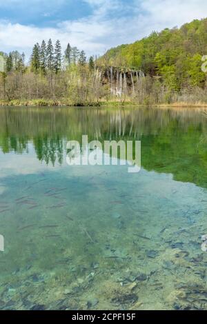 Waterfall, Plitvice Lakes National Park, Plitvice Jezera, Lika-Senj County, Karlovac County, Croatia Stock Photo