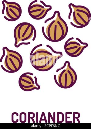 Coriander color line icon. Spices product sign. Stock Vector
