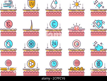 Exposure to skin external factors, aging, care, genetics line color icons set. Human skin layers. Signs for web page, mobile app, button, logo. Stock Vector