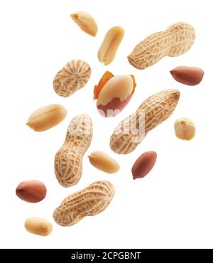 Peeled, unpeeled and whole shell peanuts isolated on white background Stock Photo