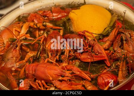 Cooking freshwater crayfish in a pan. Crayfish boil in boiling water, close-up. Cooking crayfish in boiling water Stock Photo