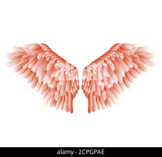 Vector red wings with feathers isolated on white background. Stock Vector