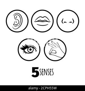 Outline icon set of five human senses: vision (eye), smell (nose ...