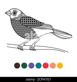 Black line doodle bird coloring page. Hand drawn page bird, animal sketch drawing, vector illustration Stock Vector