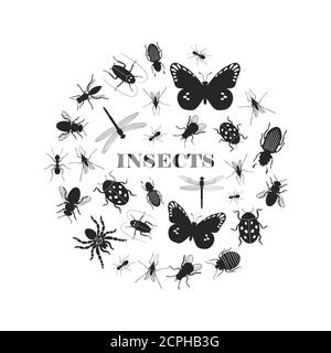 Black insect silhouettes in round shape vector illustration Stock Vector