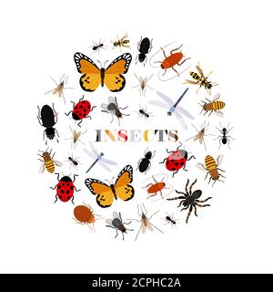 Flat insects vector icons in round shape isolated on white background. Illustration of insect bug, bee and butterfly Stock Vector