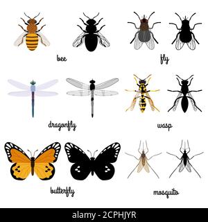 Colorful and black silhouettes flying insects isolated on white background. illustration of insect fly and butterfly Stock Vector