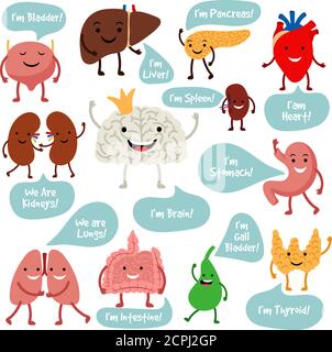 Human internal organs. Cartoon anatomy organs with happy smiles vector image, healthy spleen and lungs, liver and heart characters Stock Vector