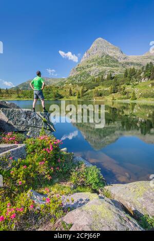 Colbricon lakes in summer with rhododendron flowering and mountain reflected on the water, an hiker standing over a rock, Lagorai, Trentino, Italy, Eu Stock Photo