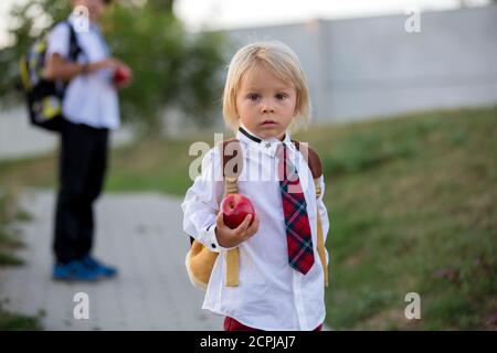Cute preschool child, holding apple, dressed in uniform, going to preschool for the first time after summer Stock Photo