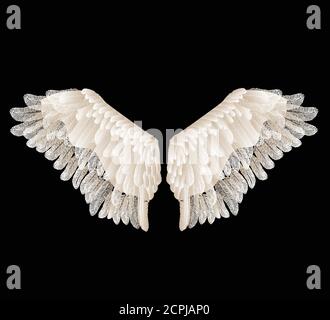 Vector wings with feathers isolated on black background. Stock Vector
