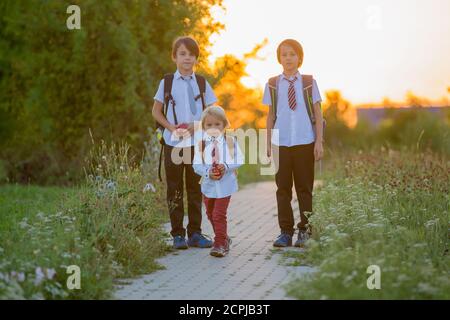 School children, boys, going back to school after the summer vacation, kids going to school Stock Photo