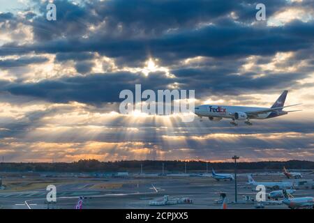 November 20, 2019 - Narita Airport, Tokyo, Japan:Landing airplane in the morning.Landscape with front of big airplane is flying over runway and parkin Stock Photo