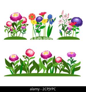 Garden flowers vector composition. Peony, lilly, daisy with green leaves. Illustration of colored flower in field Stock Vector