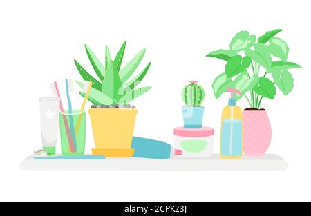 Shelf in the bathroom with plants and gygiene objects vector isolated on white background. Illustration of shelf bathroom, hygiene and sanitary Stock Vector