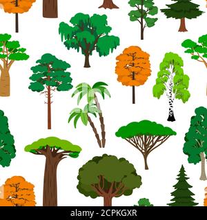 Trees pattern with palms, birches oaks and autumn colors trees, vector illustration Stock Vector